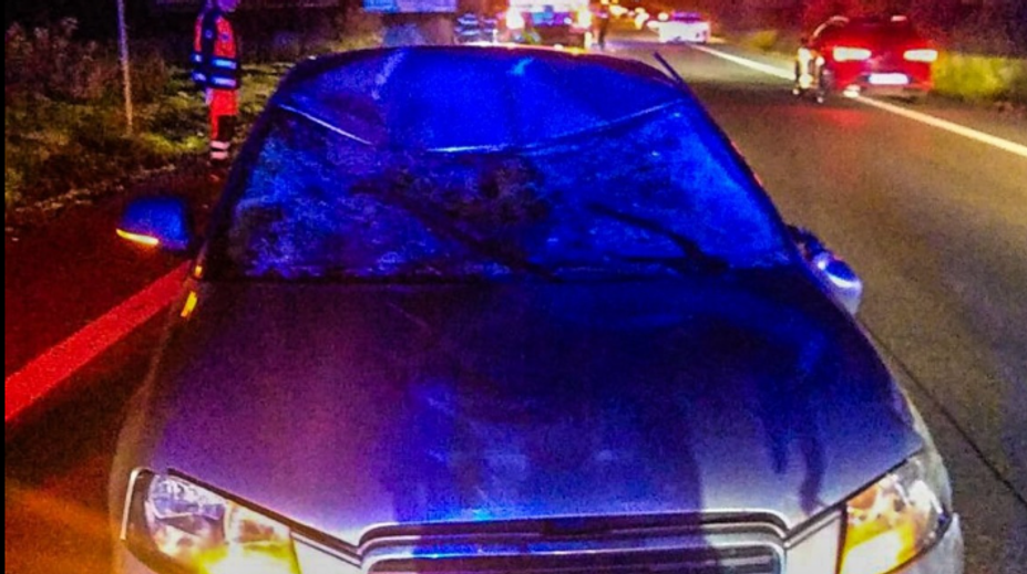 Obrovská losica sa autu postavila do cesty. Vodič aj spolujazdec skončili s vážnymi zraneniami