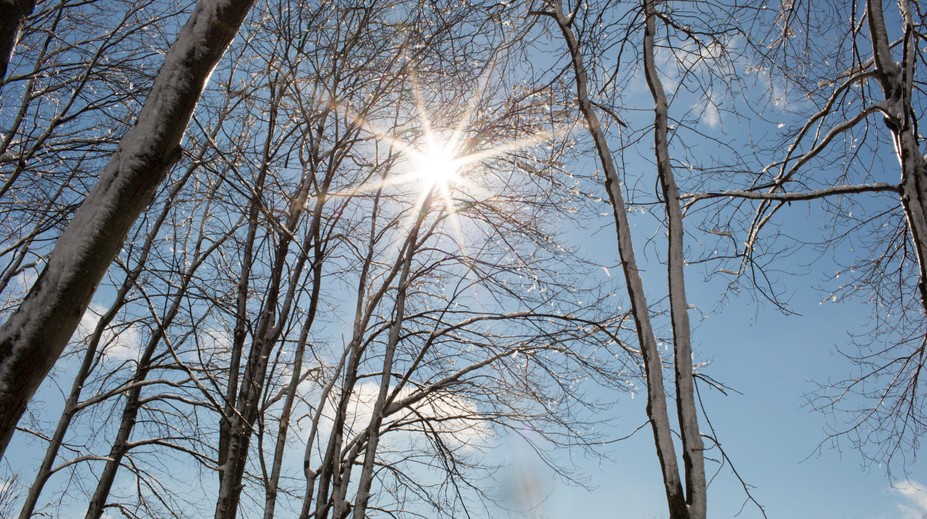 Koniec meteorologickej zimy. Lúčenie s ňou bolo slnečné a teplé