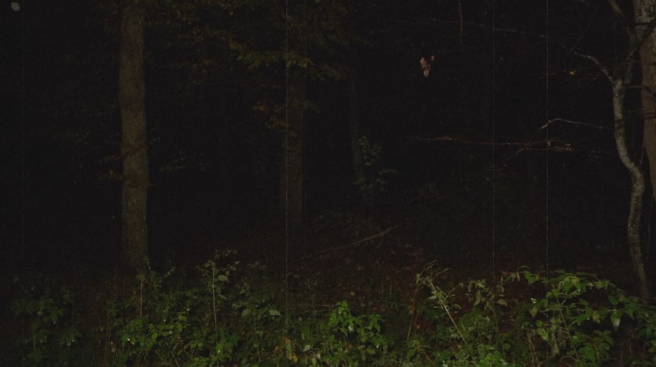 Odvážil sa vstúpiť do slovenského lesa, kde miznú ľudia. Žena, ktorá tam žije, vydala varovanie