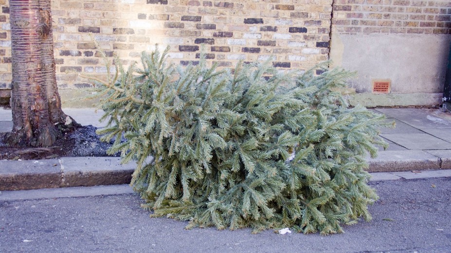 Dôchodkyni zlomil ruku padajúci vianočný stromček. Suseda zo šiesteho poschodia ju vraj nevidela