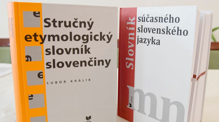 Ochrana jazyka či potláčanie menšín? Ministerstvo kultúry pripravuje novelu zákona o štátnom jazyku