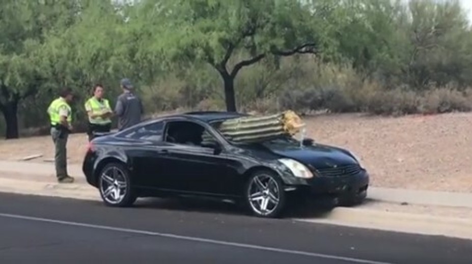 Bizarná nehoda: Vodič v plnej rýchlosti vpálil do kaktusu