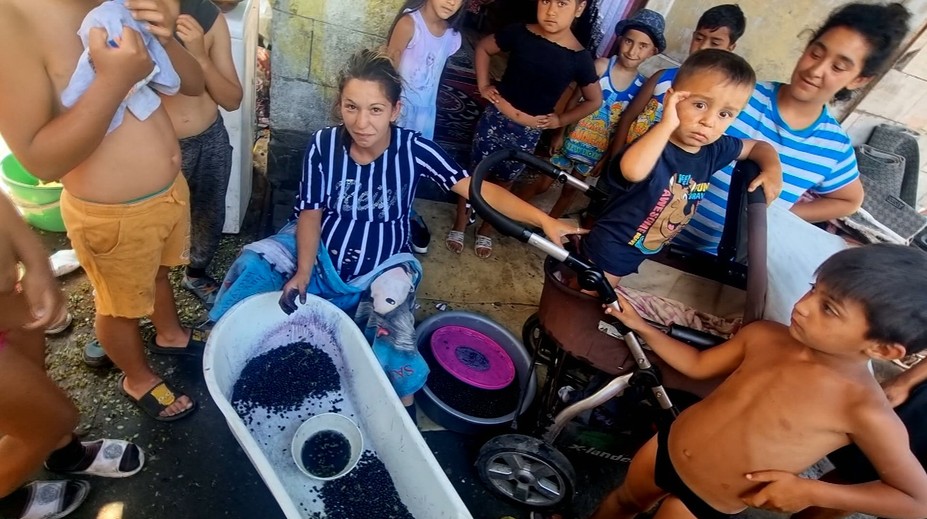 Rozruch v Tatrách. Ochranári prichytili viacero zberačov čučoriedok, dvaja skončili v policajnej cele