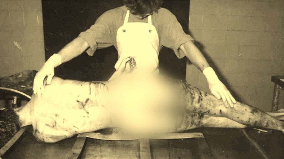 Mladého študenta surovo dotrhali psy. Súd prvýkrát rehabilitoval obeť komunistického režimu