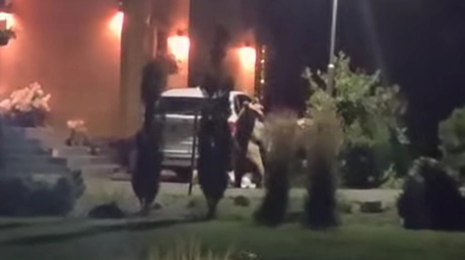 VIDEO: Medveď v blízkosti rodinných domov. Obec vyzýva k opatrnosti