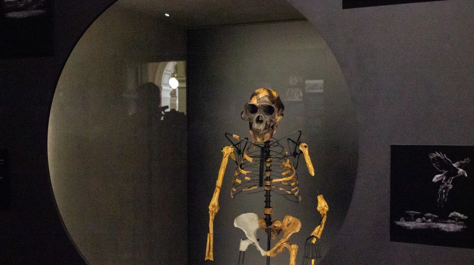 FOTO: V Prahe vystavili najslávnejšie fosílie sveta. „Prateta ľudstva“ je v Európe prvýkrát