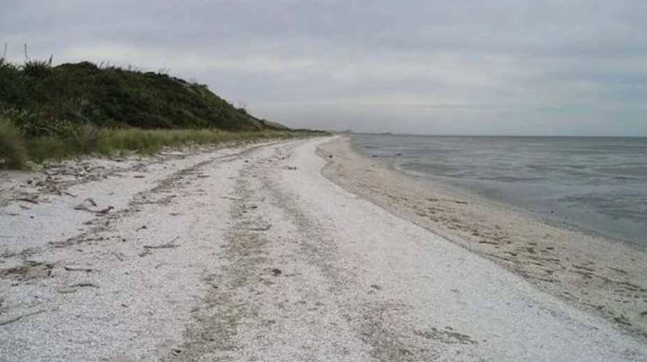 Rodičia si už nevedeli dať rady s neposlušnou dcérou. Rozhodli sa ju potrestať netradičným spôsobom