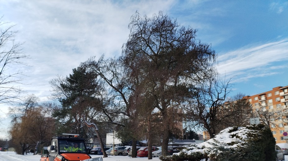 Mimoriadna situácia pre celý okres Čadca. Je tam snehová kalamita