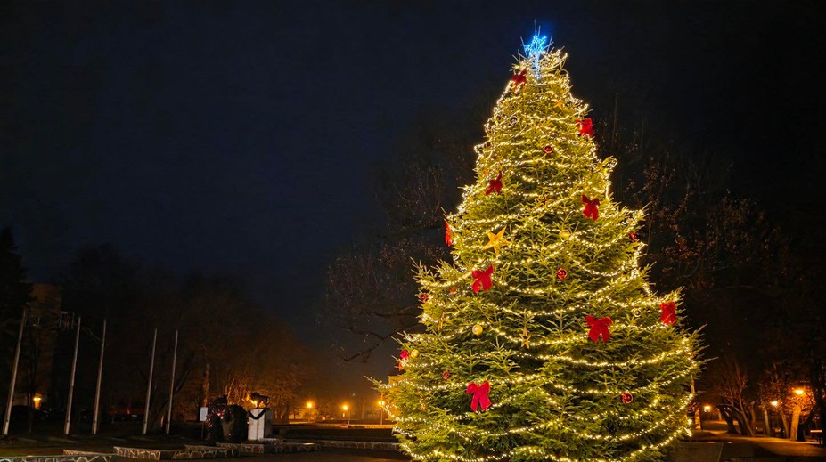 V hlasovaní mu iba tesne ušlo prvenstvo. S vianočným stromčekom z Humenného sa spája dojemný príbeh