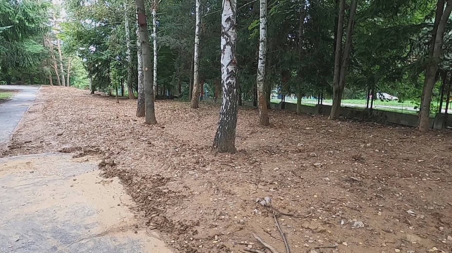Iniciatíva detí a učiteľov narobila poriadne škody. Neodborne vysadené stromy poškodzujú okolie