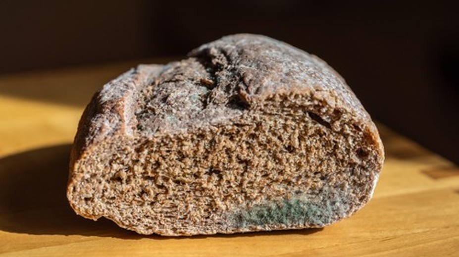 Vyhodiť či stačí odrezať? Odborníci vysvetľujú, ako naložiť s plesnivým jedlom