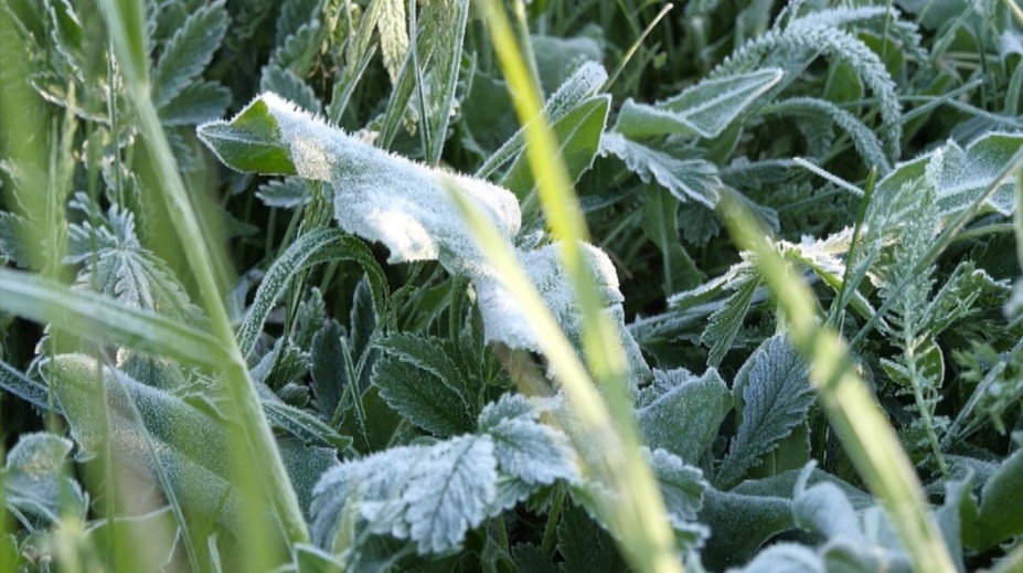 Meteorológovia varujú. Zamrznutí predsa len prídu