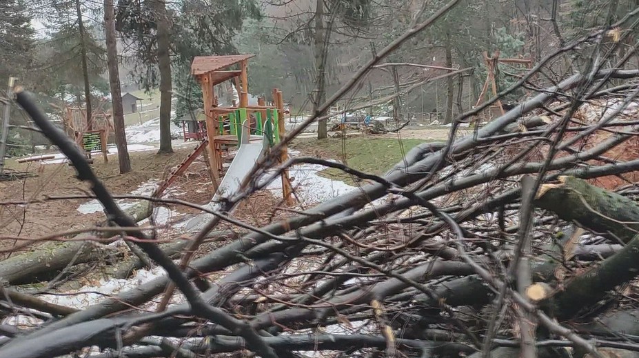 Zničené sú výbehy, ploty aj zázemie. Košická ZOO sa spamätáva zo smršte