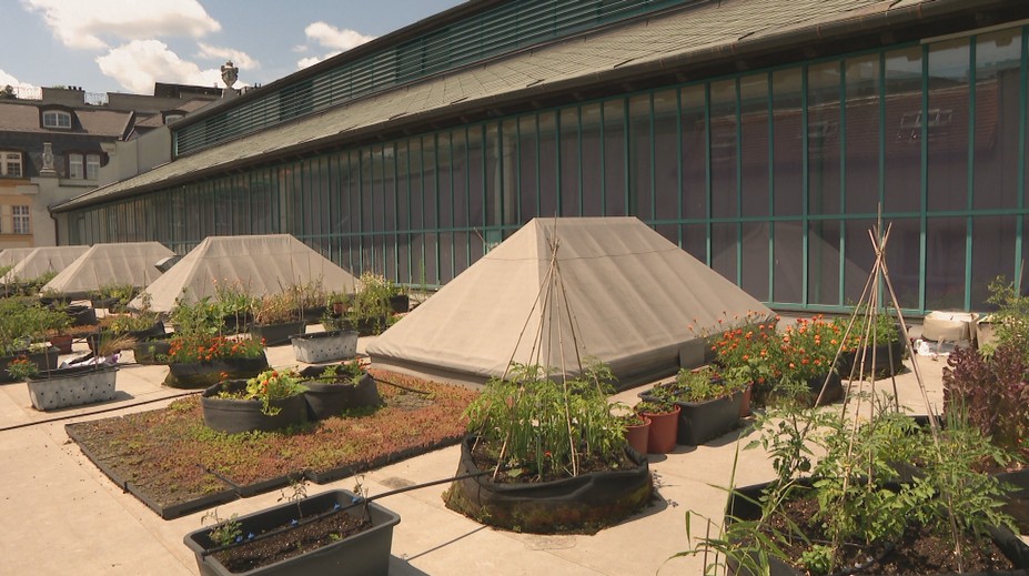 Čo skrýva Stará tržnica? Tajná miestnosť v podzemí a ďalšie miesta, o ktorých ste určite netušili