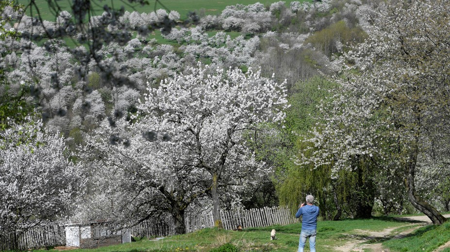 Všetci tam chcú fotku. Slovenskú obec so 60 obyvateľmi navštevujú tisíce turistov