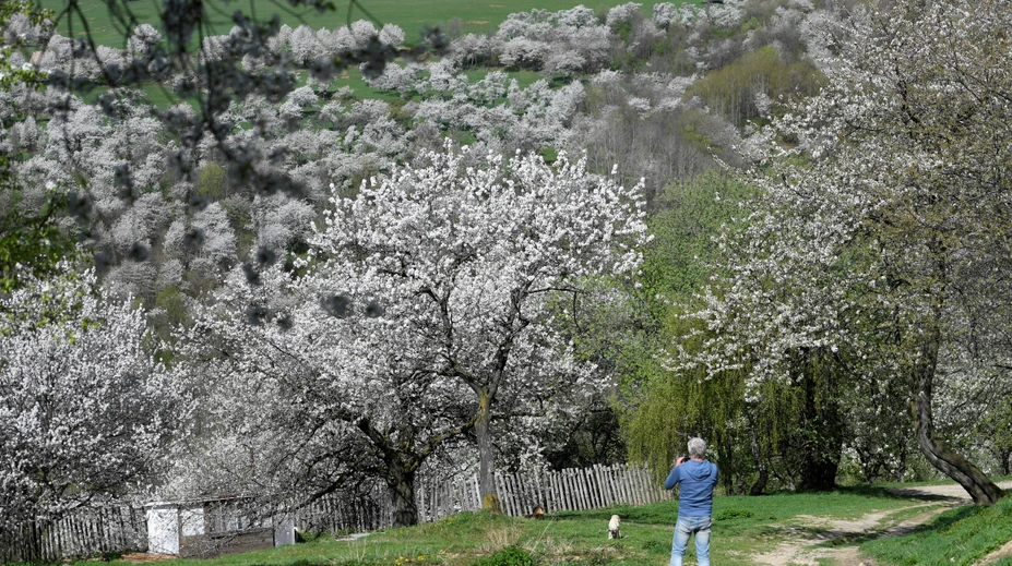Všetci tam chcú fotku. Slovenskú obec so 60 obyvateľmi navštevujú tisíce turistov