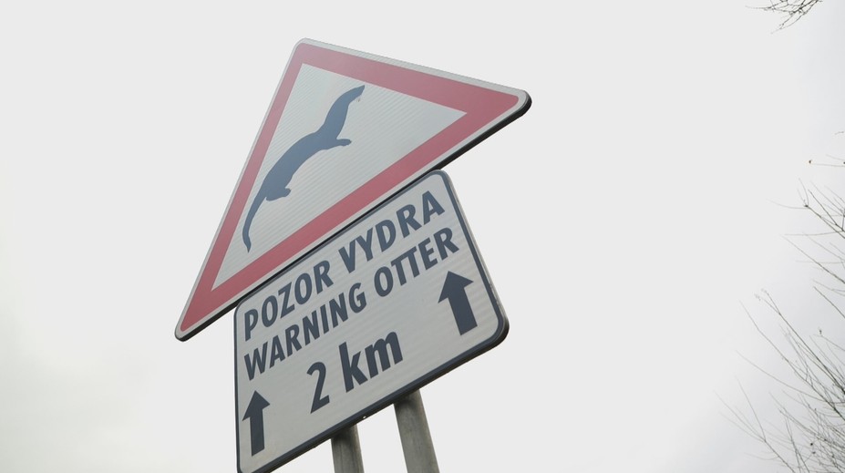 Značka - Pozor, vydra - lemuje cesty na Liptove desaťročia. V čase vzniku ju chválil celý svet