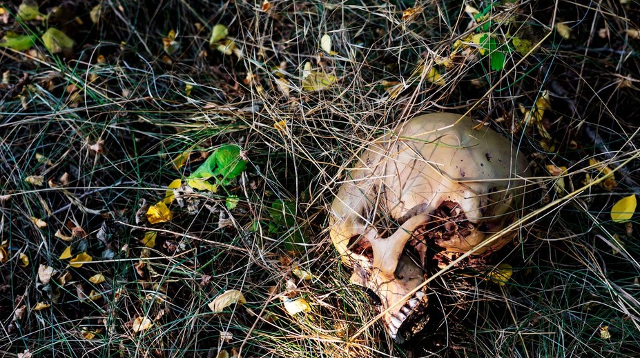 Desivý objav pri ihrisku: Deti sa hrali a našli ľudskú lebku. Polícia odhalila ďalšie kosti