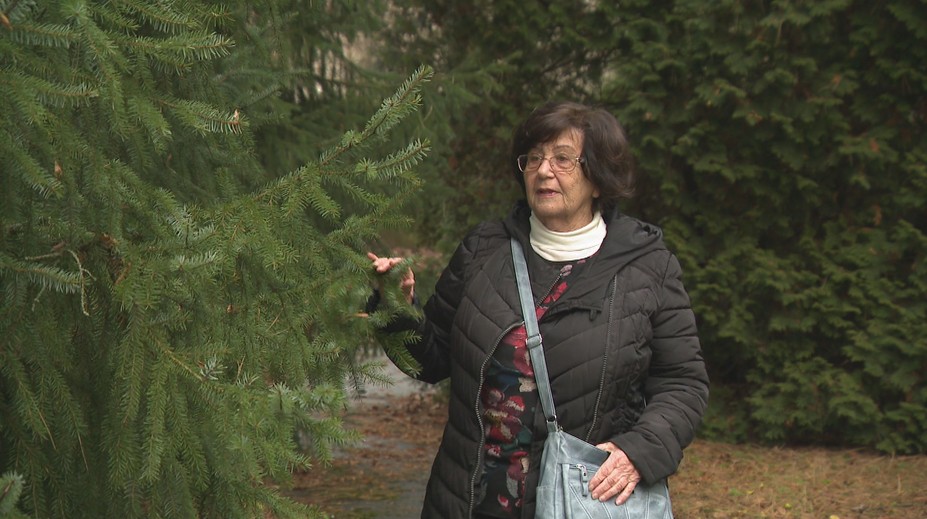 Dôchodok, menopauza aj psychika: Seniorky hovoria o období plnom zmien aj neistoty