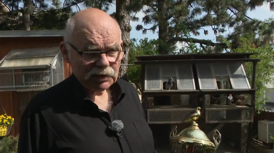 Tvrdí, že chovateľstvo je vysoko návykové a skvelá psychohygiena. Peter Vačok sa chovu holubov venuje celý život