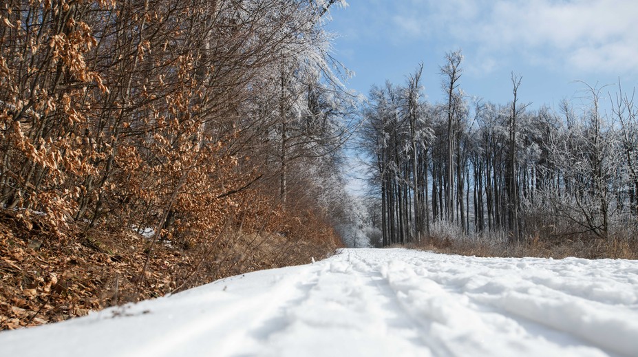 Vyhliadka do Vianoc nepoteší: Počasie sa drží na rovnakej vlne