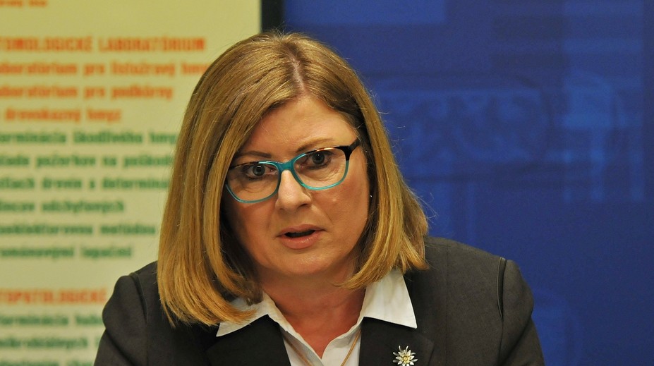 Matečná žiada ospravedlnenie od poslankyne Ďuriš Nicholsonovej