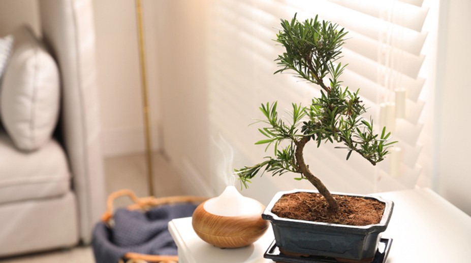 Všetko o difuzéroch. Máte jeden doma?