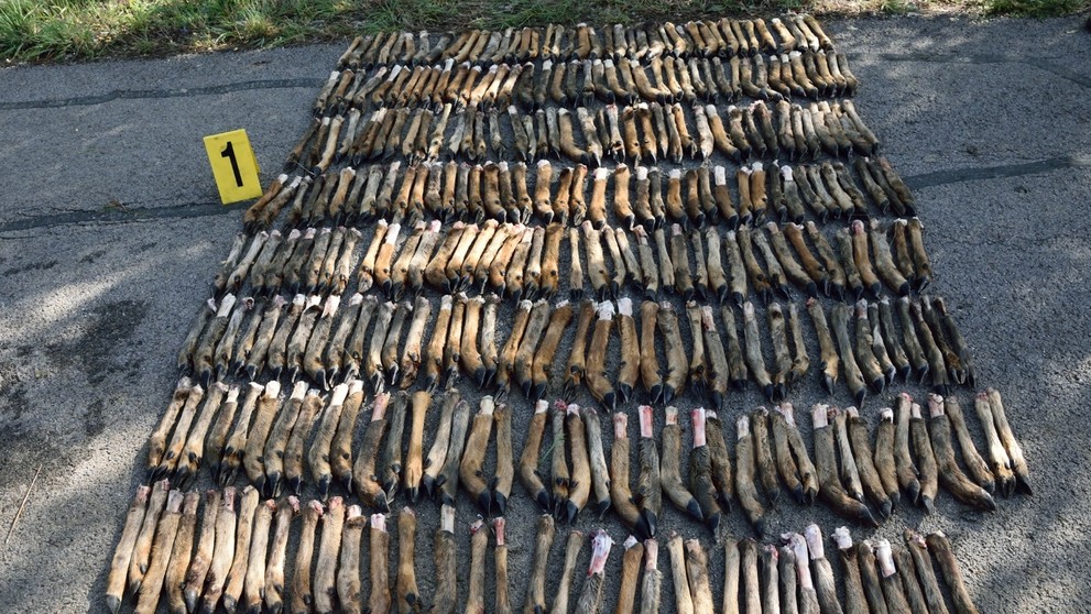 Ilustračná snímka - bábätko