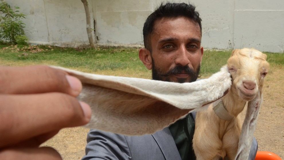 Možno bude rekordérom