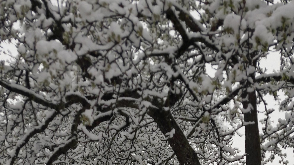 Sneh padal dnes ráno aj v Podhradí.