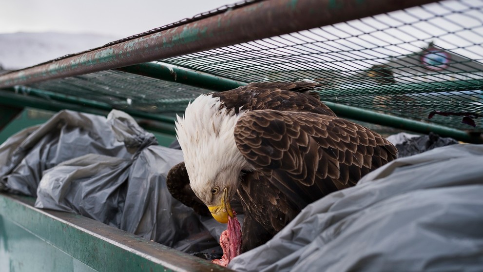 World Press Photo 2018
