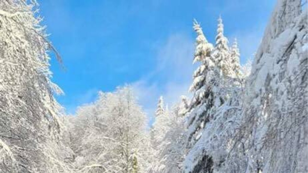 Externý chladiaci príves pri krematóriu na Cintoríne sv. Cyrila a Metoda v Nitre.
