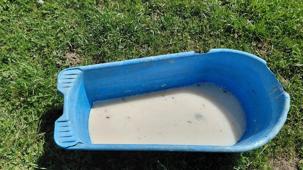 Vo výrobkoch nelegálneho salaša objavili salmonelu.