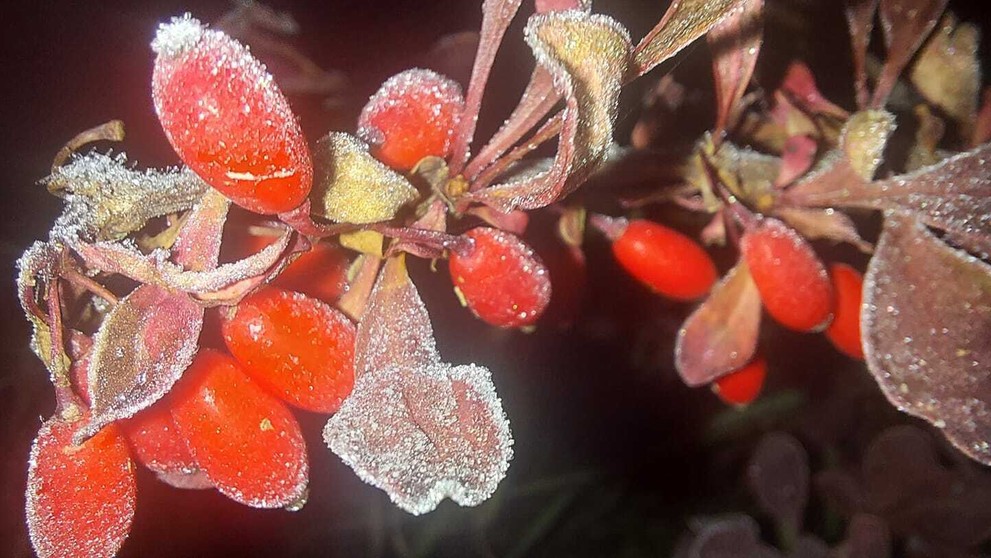 Foto od vás - Liptovská Teplička