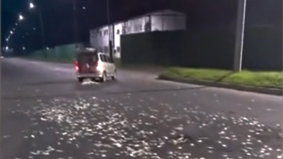 Všetky peniaze po ceste zozbierali.