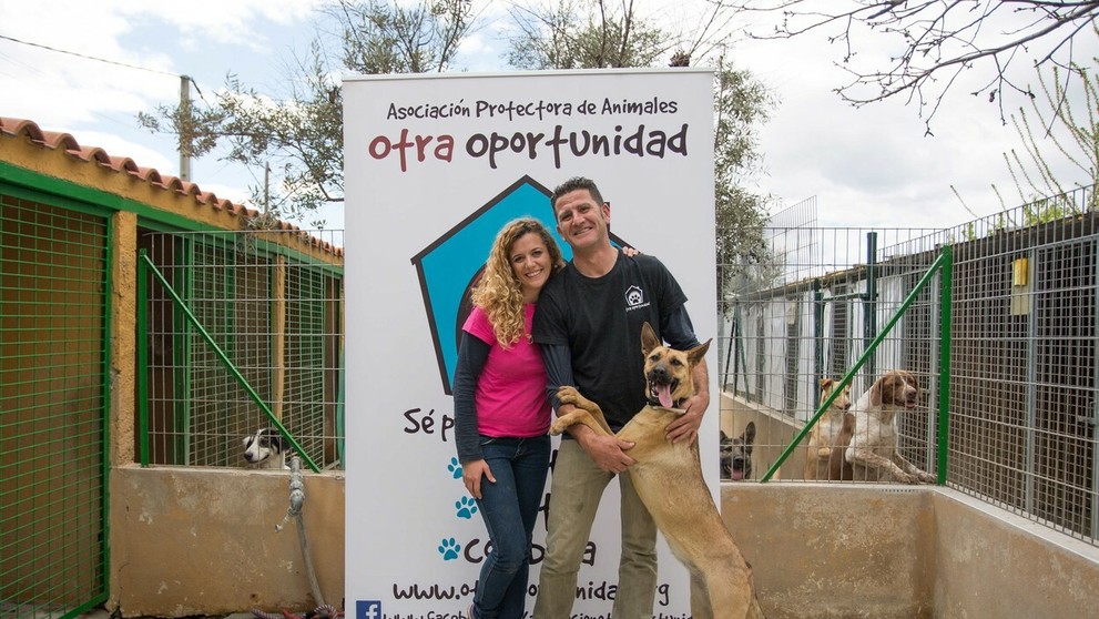 Takto teraz Barilla vyzerá.