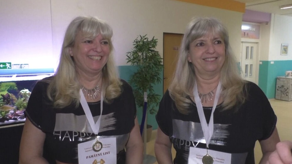 Stretnutie dvojčiat.