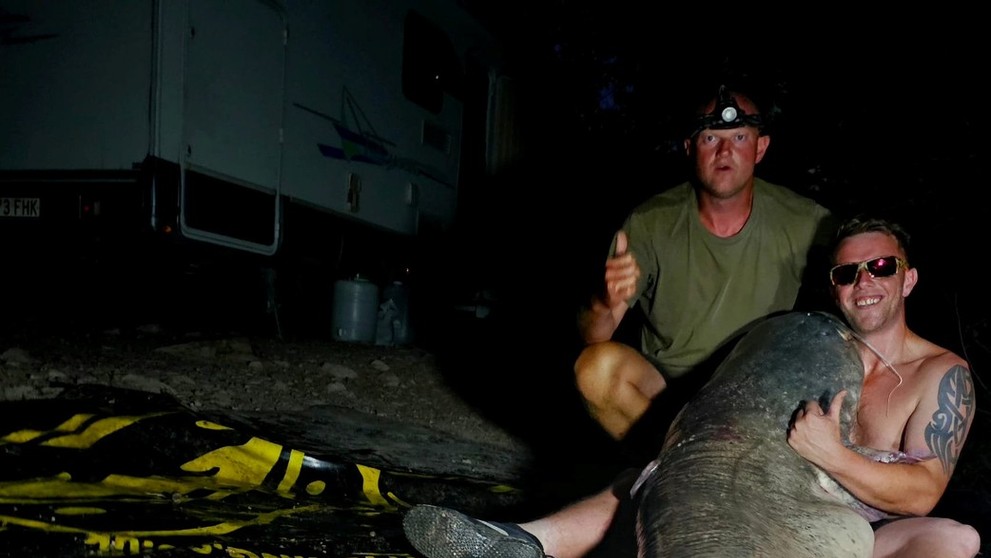 Rybári chytili obrovského sumca