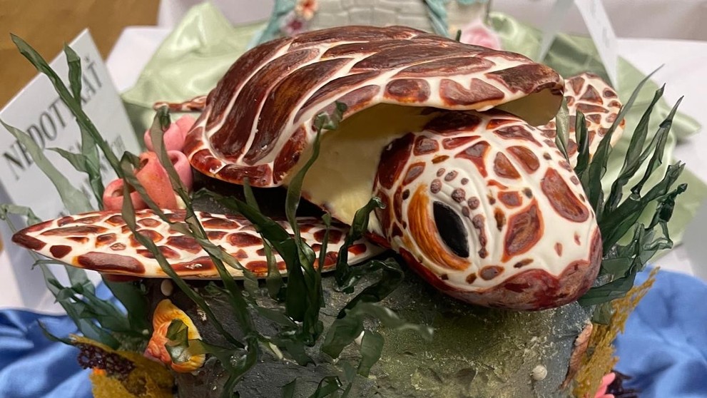 Súťaž o najkrajšiu tortu.