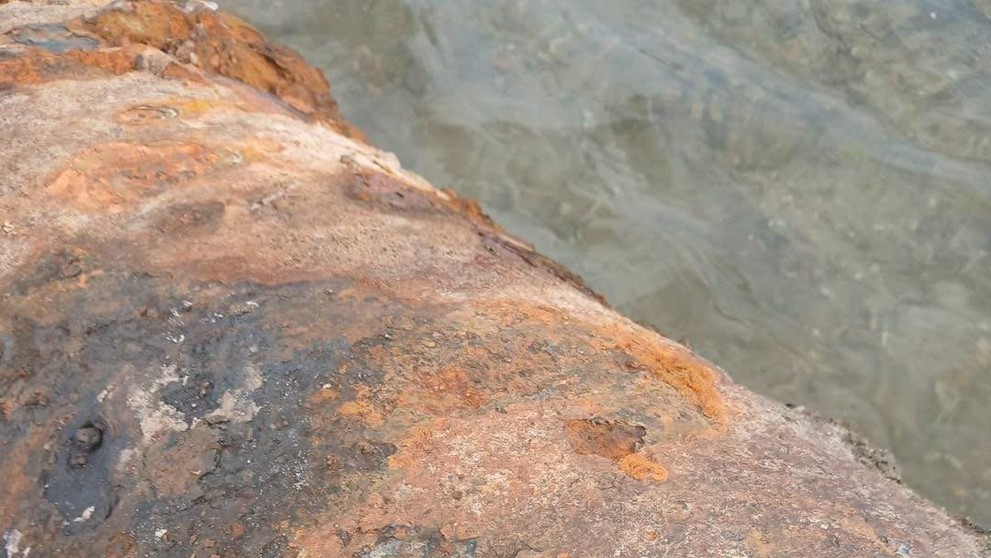 Nebezpečný nález pri Dunaji.