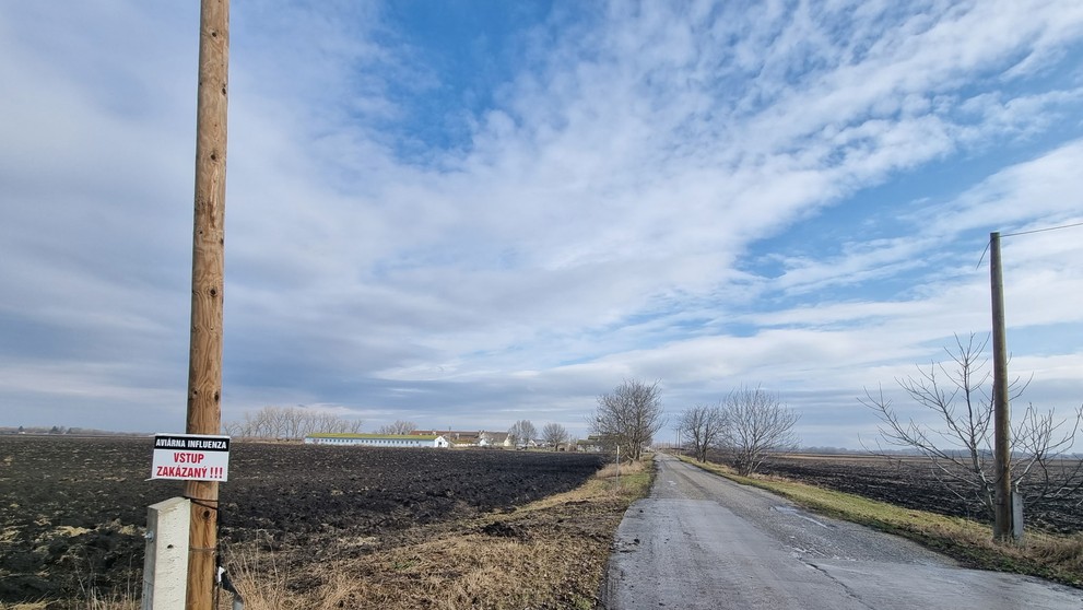 Vtáčia chrípka na farme Čalovec