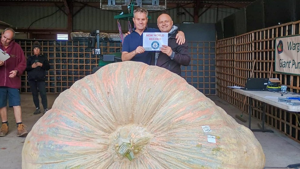 Bratia vypestoval rekordne veľkú tekvicu.