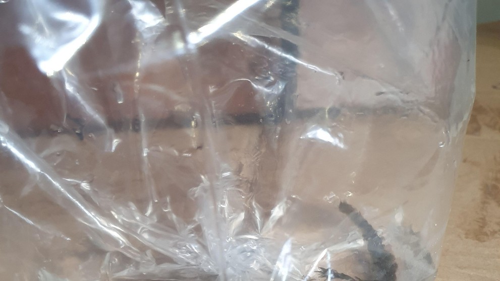 Zásielky s bizarným obsahom.