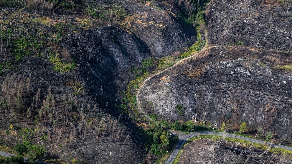 České Švajčiarsko rok po požiari