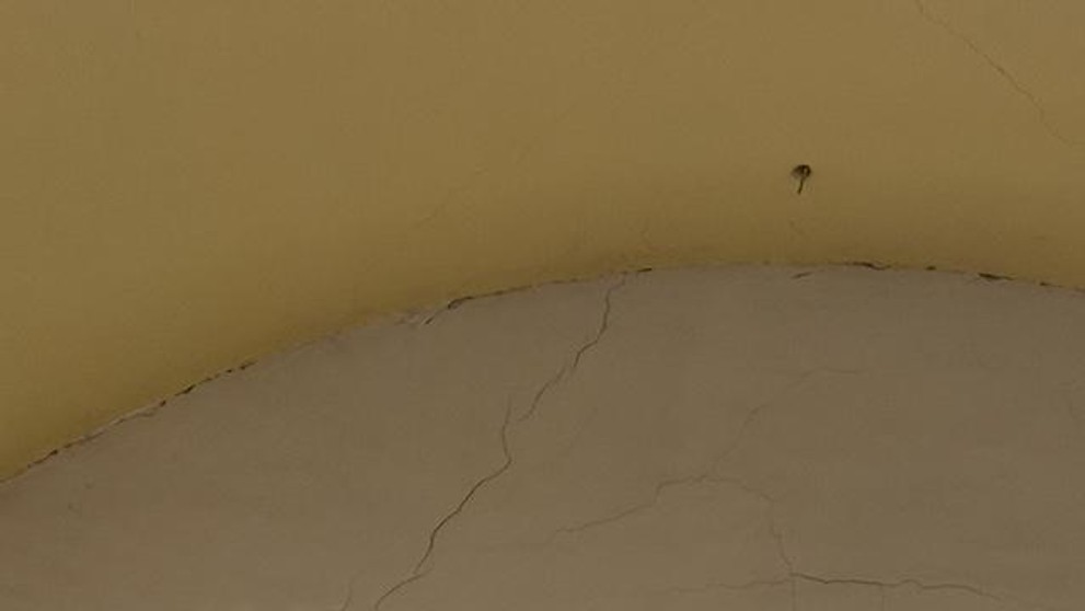 Zemetrasenie poškodilo 350-ročný kostol v Báči