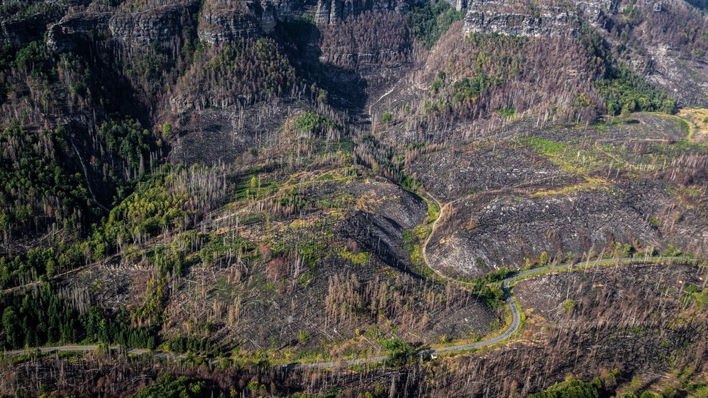 České Švajčiarsko rok po požiari