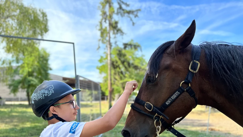 Horse Heal