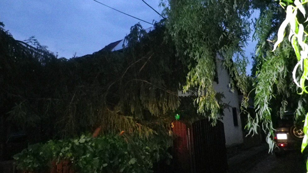 Polámané stromy na elektrickom vedení po búrke v okrese Bánovce nad Bebravou.