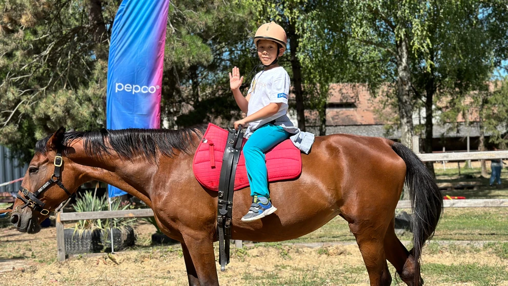 Horse Heal