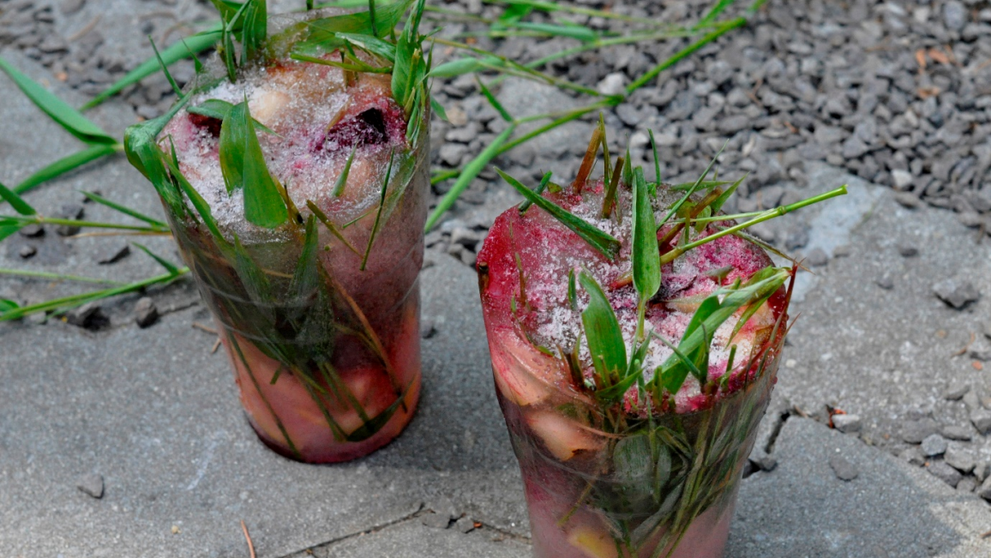 Osviežovanie zvierat